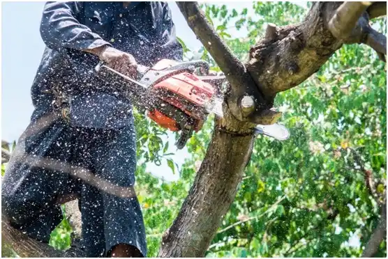 tree services Spiro